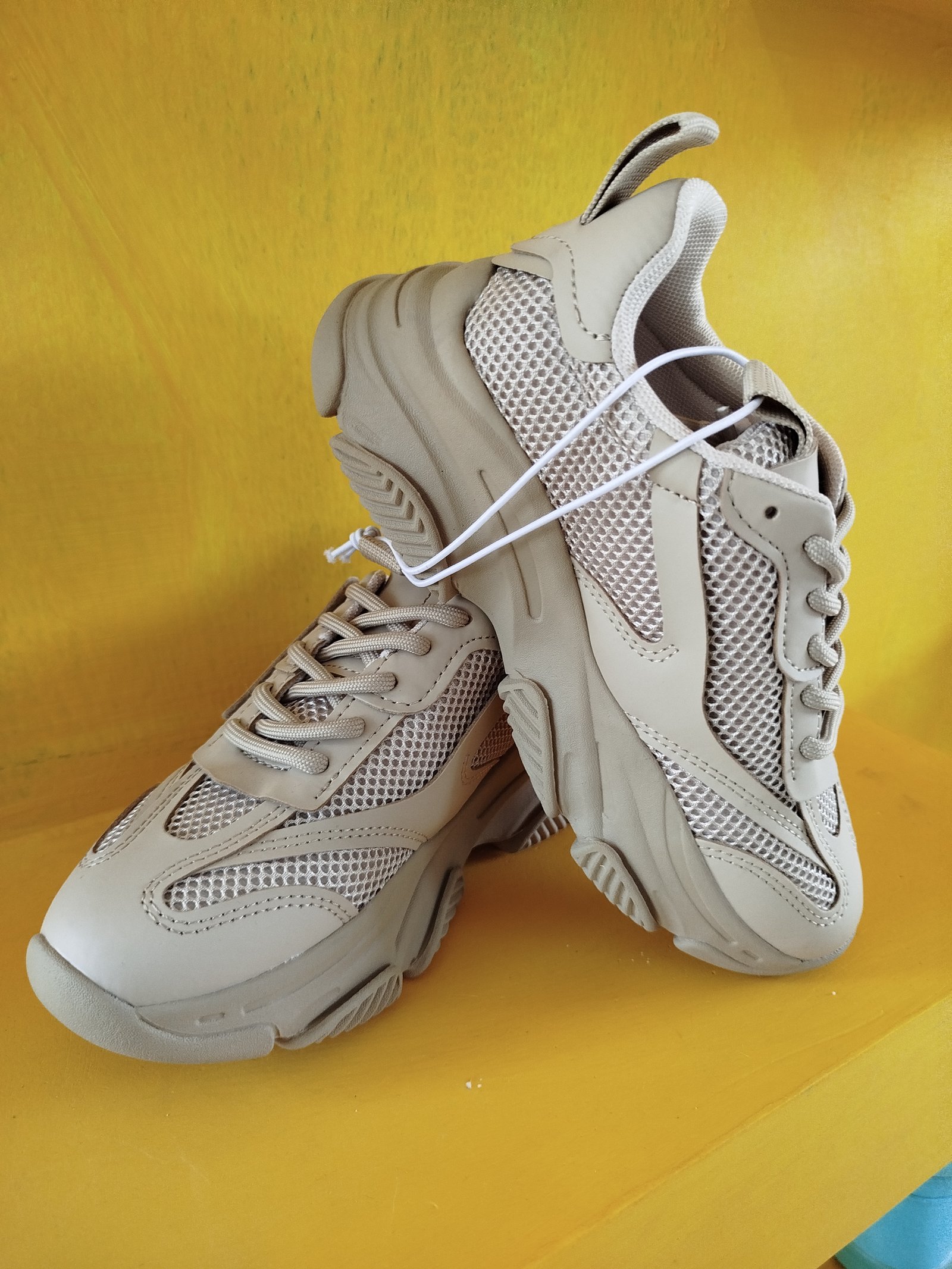 Tenis Steve Madden Possesion-R
