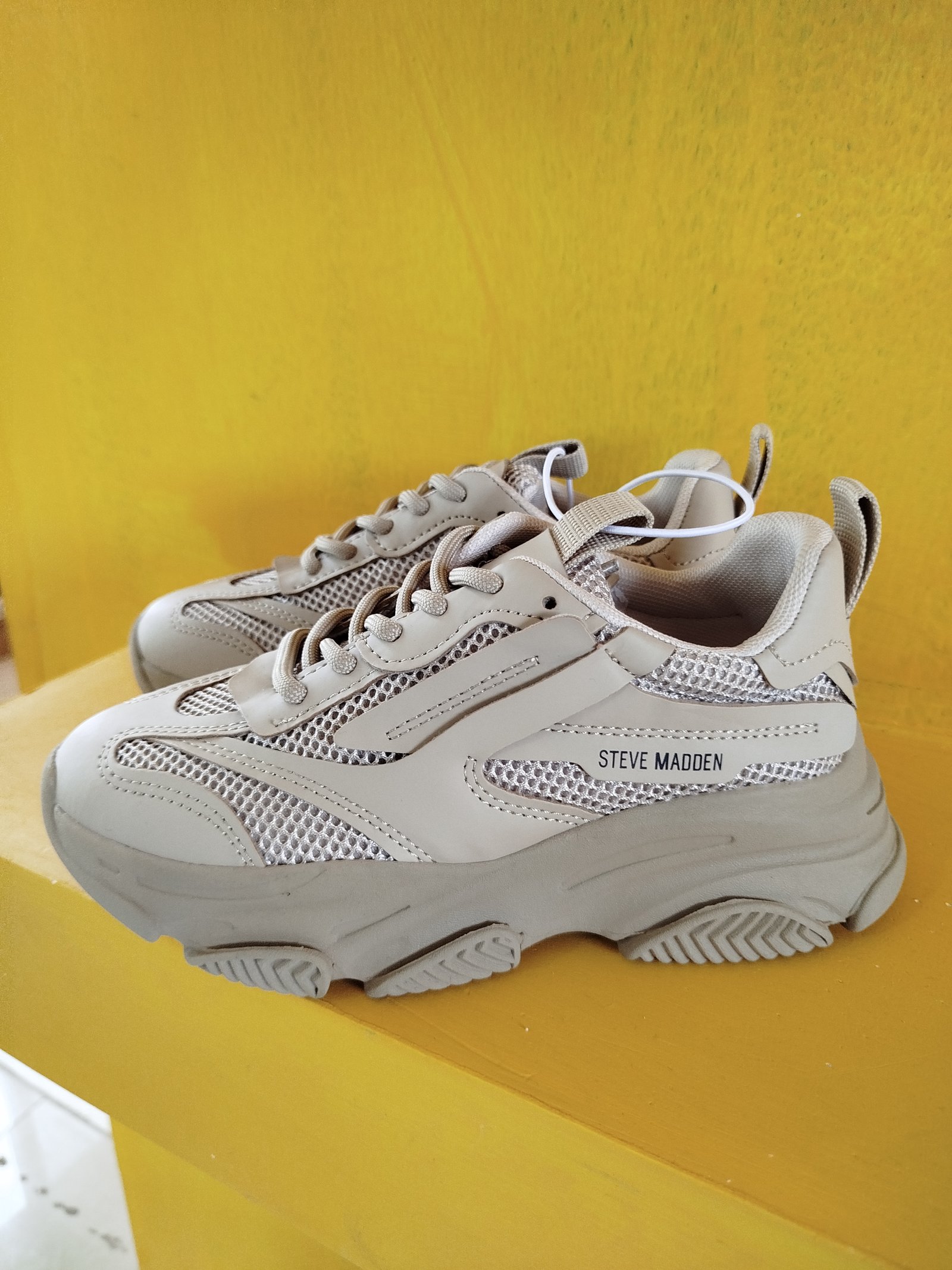 Tenis Steve Madden Possesion-R